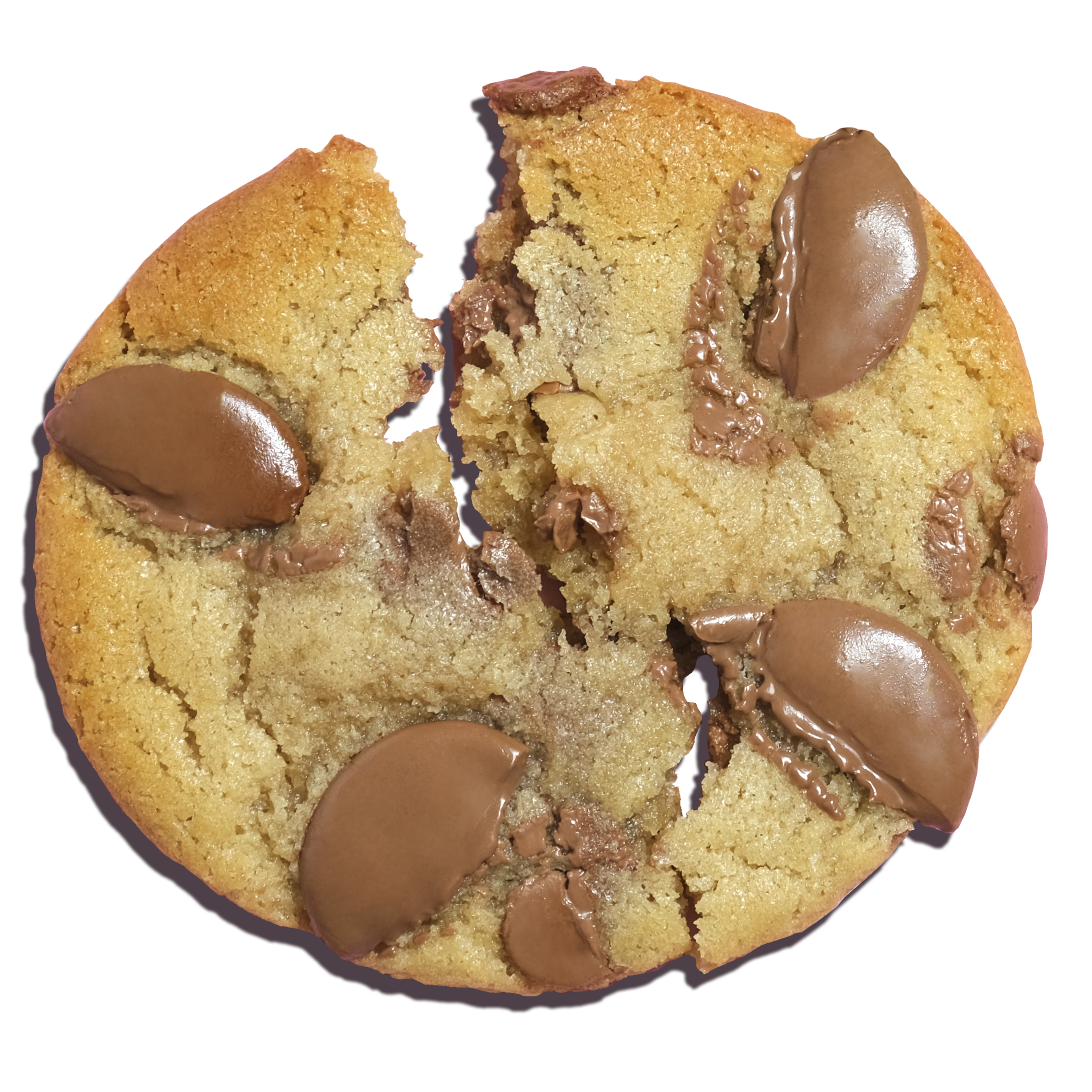 Chocolate Chunk cookie