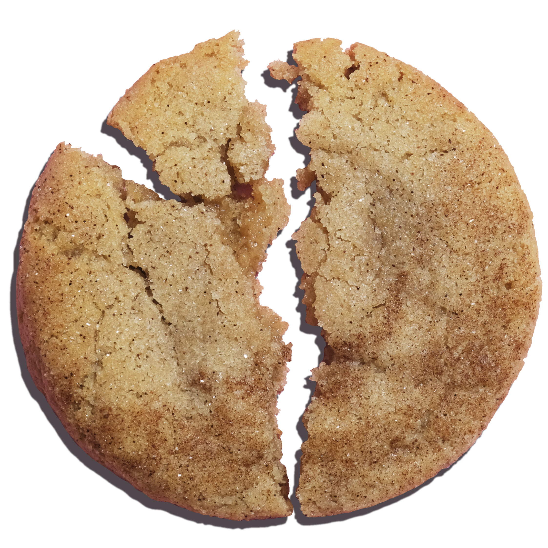 Snickerdoodle cookie